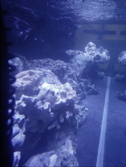 DSCN2738.JPG