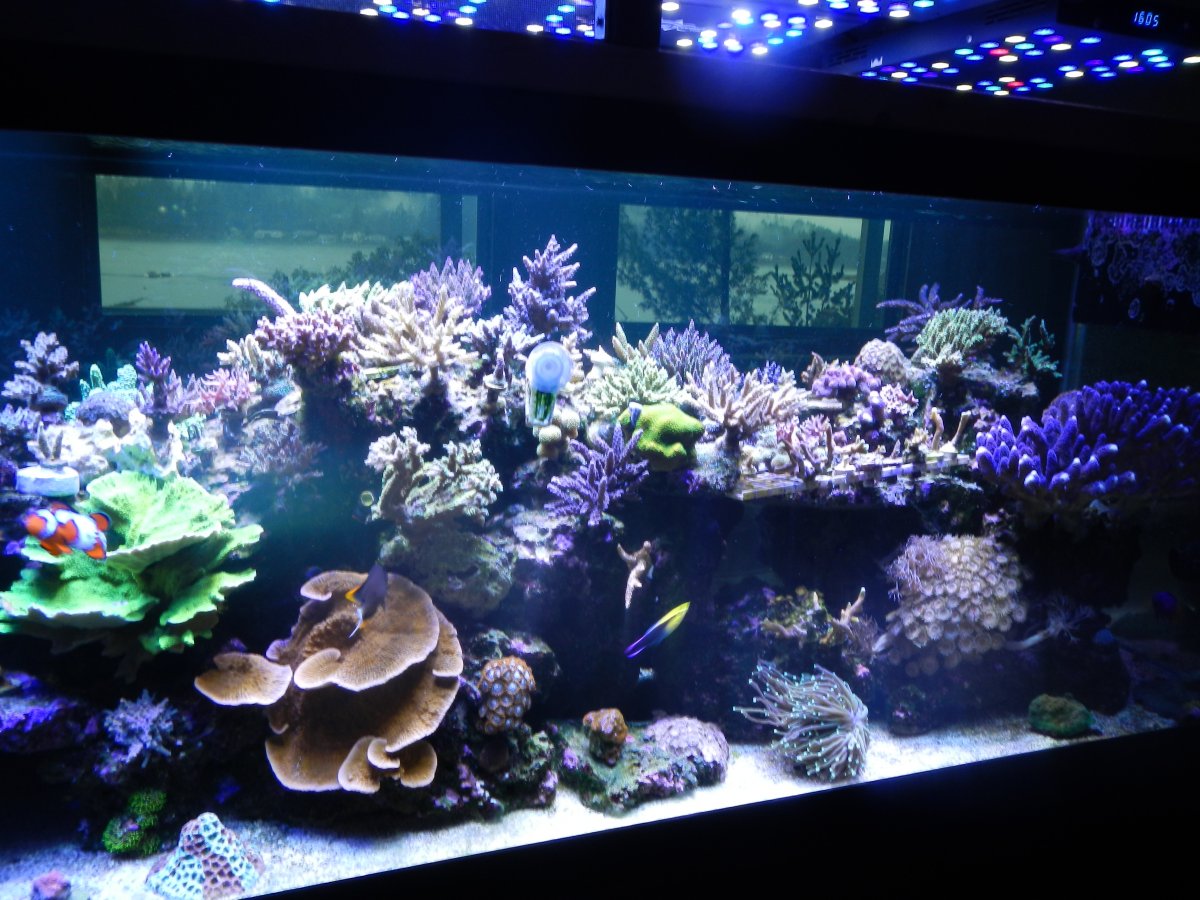 DSCN2774.JPG