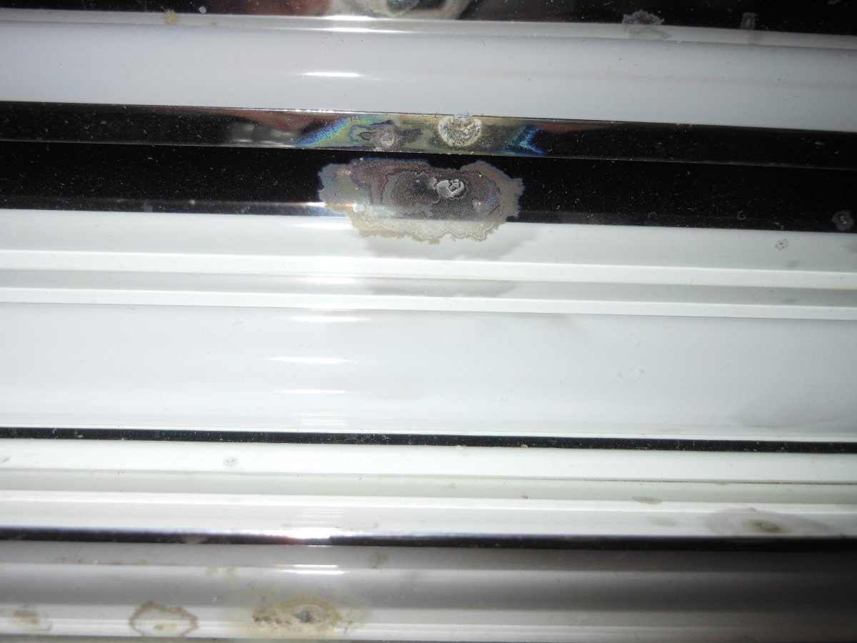 DSCN2807.JPG