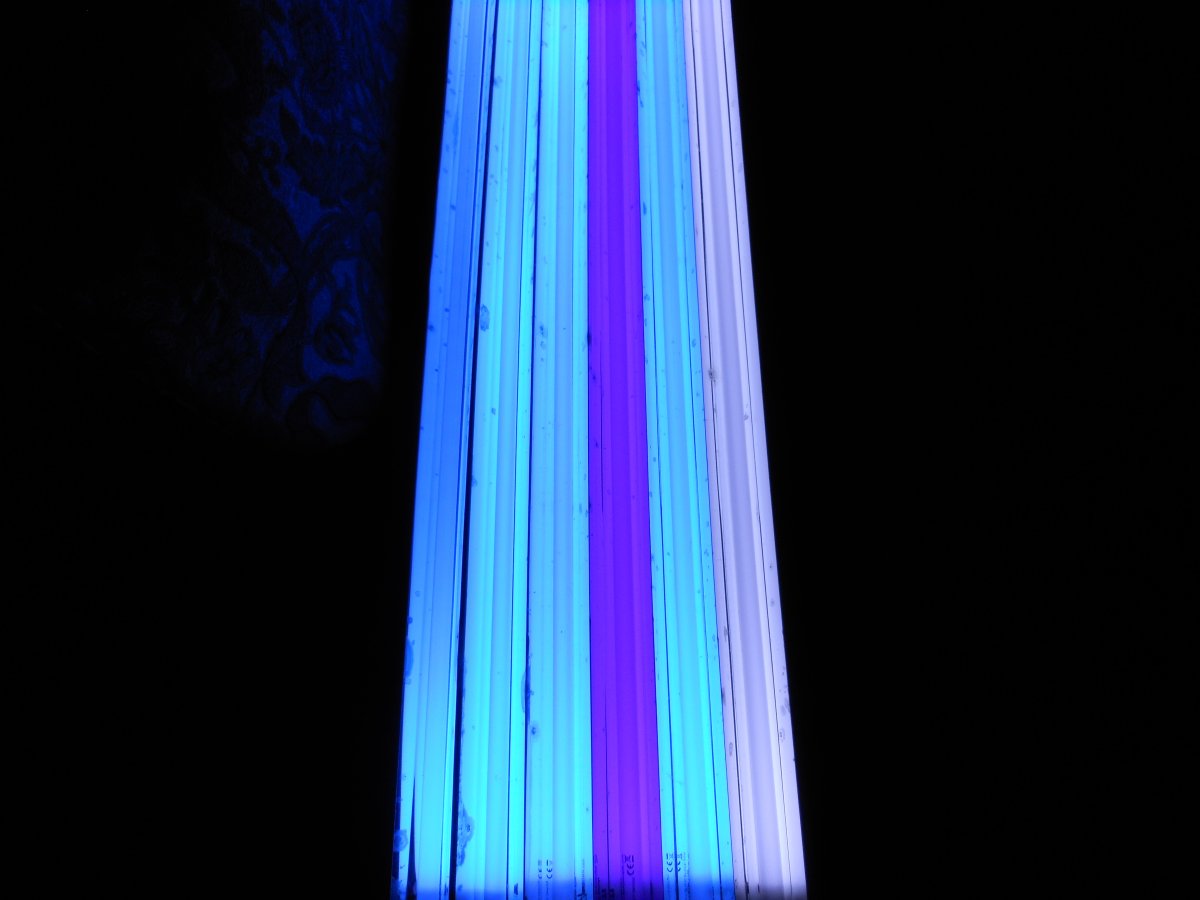 DSCN2808.JPG
