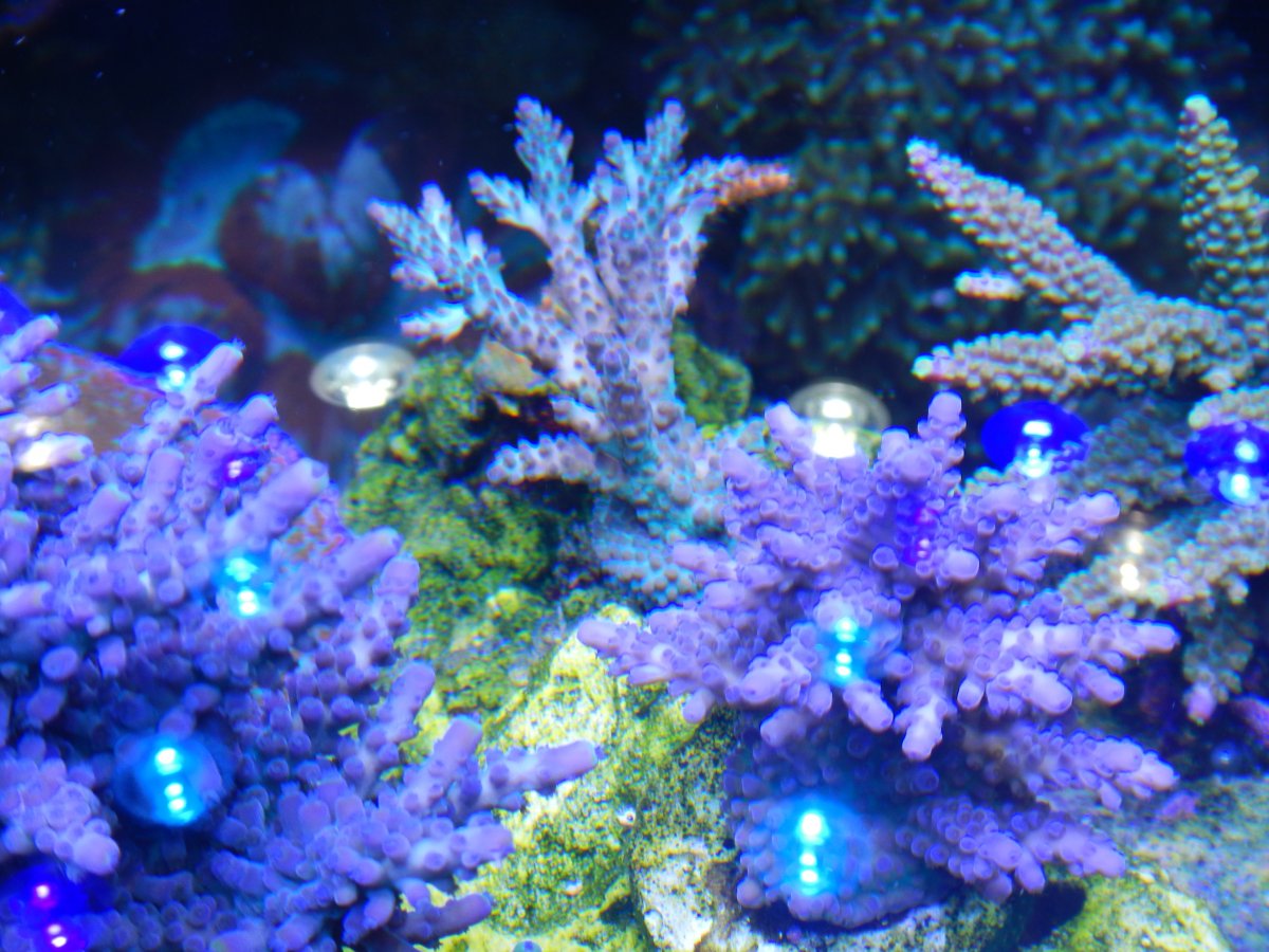 DSCN2838.JPG