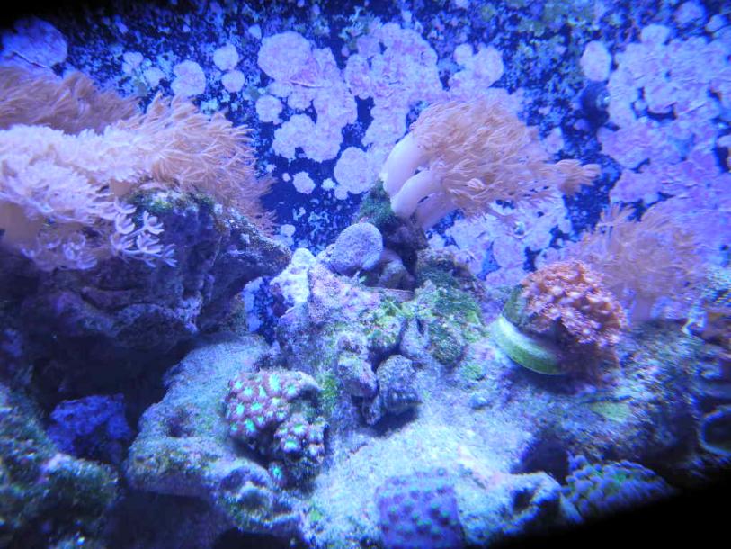 DSCN3357.jpg