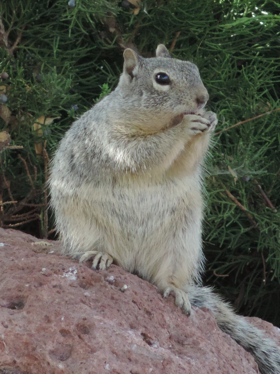 DSCN3575.JPG