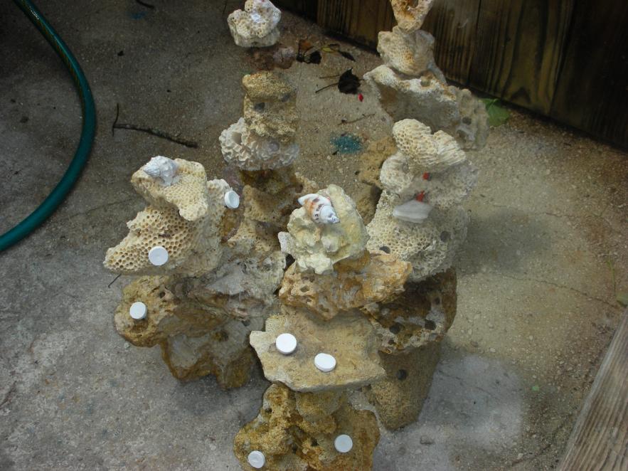 DSCN3614.jpg
