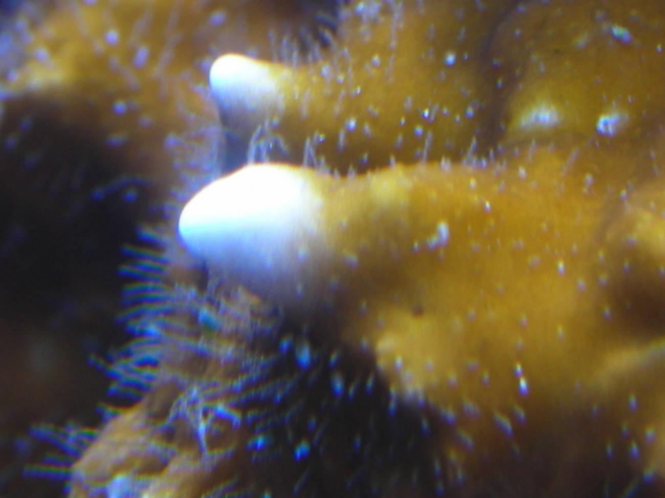 DSCN3733.jpg