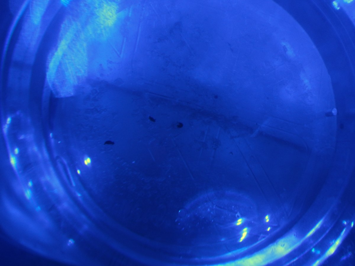 DSCN3761.jpg