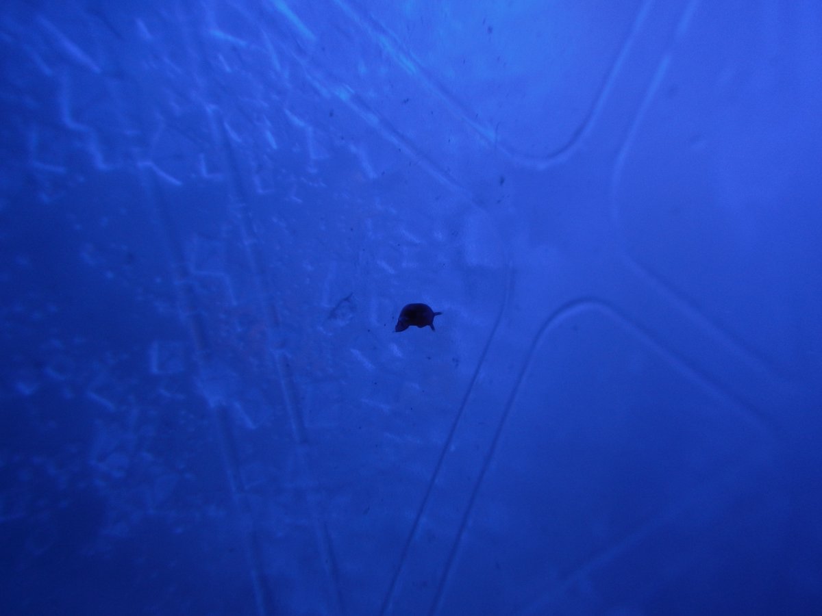 DSCN3764.jpg