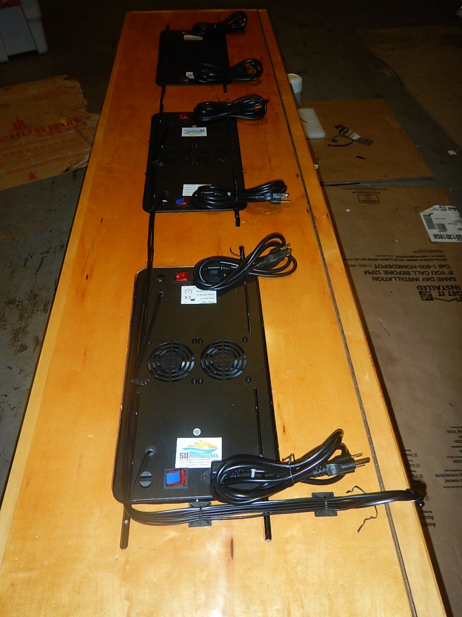 DSCN4200.JPG