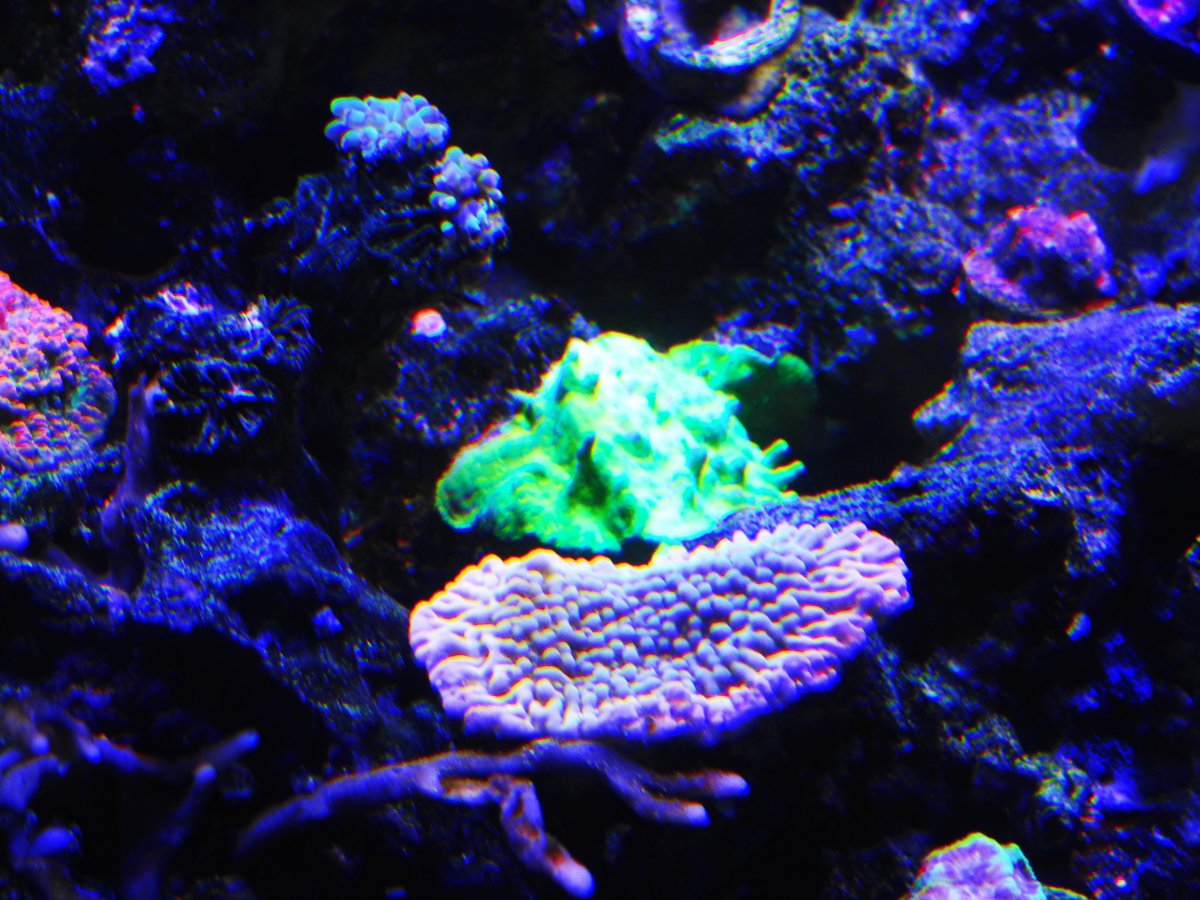 DSCN5005.JPG