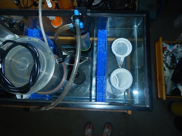 DSCN5120.JPG