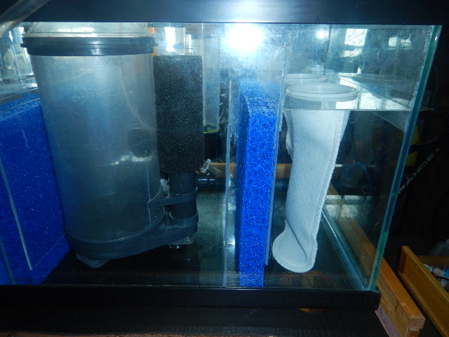 DSCN5121.JPG