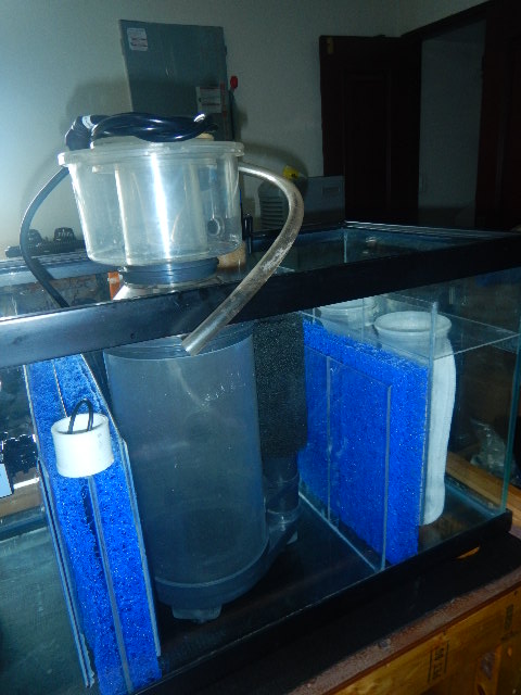 DSCN5124.JPG