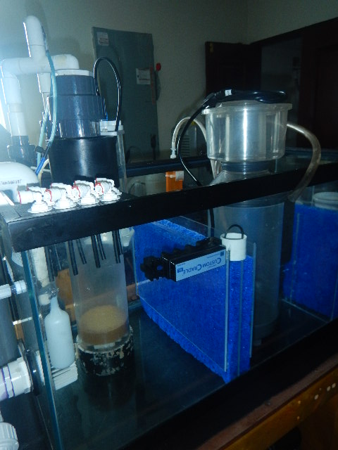 DSCN5125.JPG