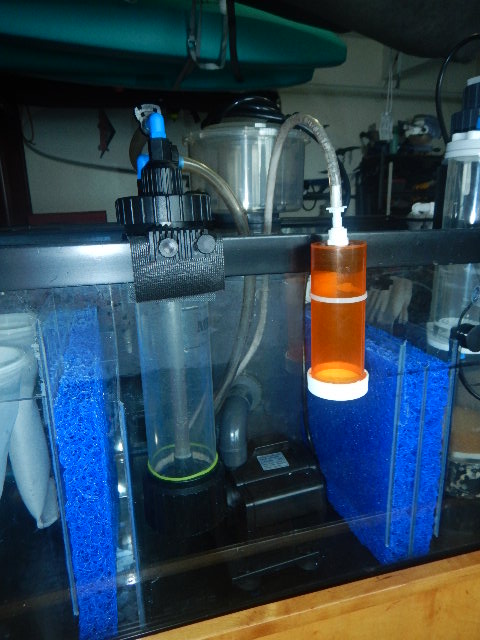 DSCN5128.JPG