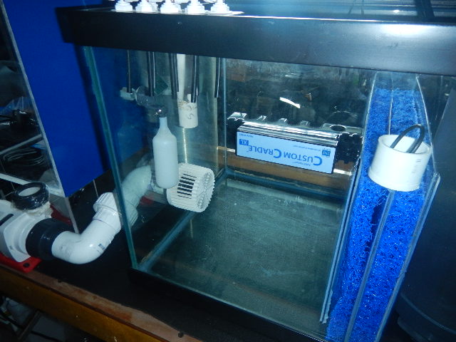 DSCN5142.JPG