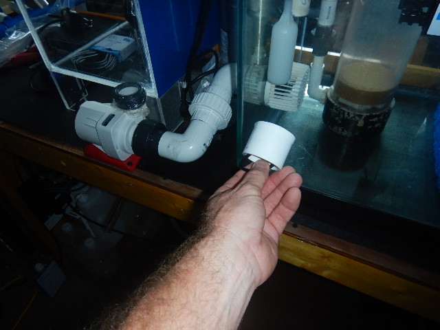 DSCN5143.JPG