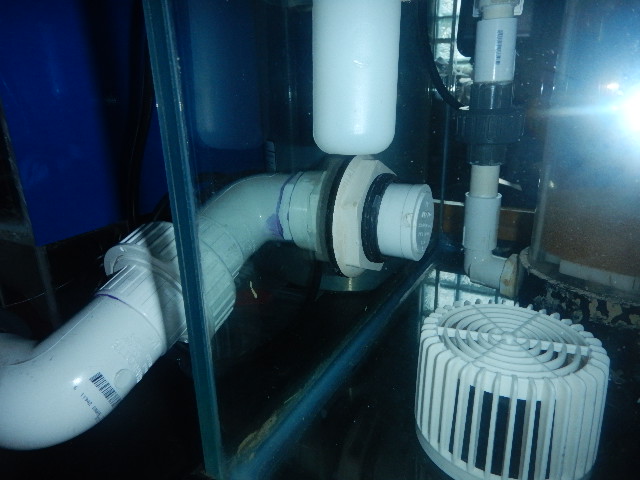 DSCN5144.JPG