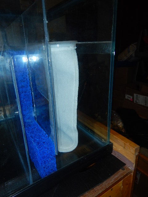 DSCN5150.JPG