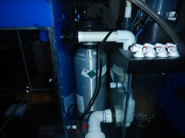 DSCN5154.JPG