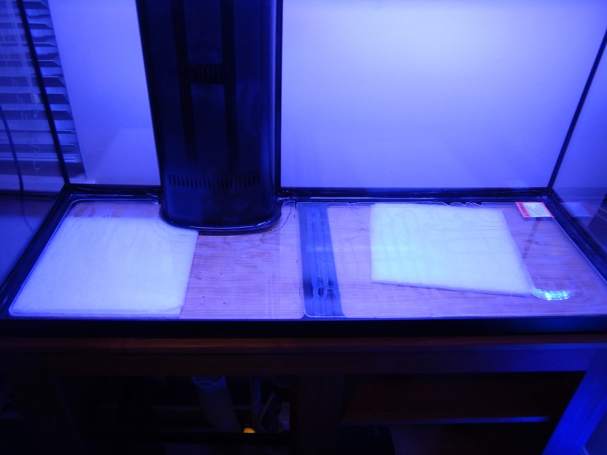 DSCN5462.JPG