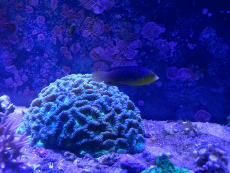 DSCN68681.jpg