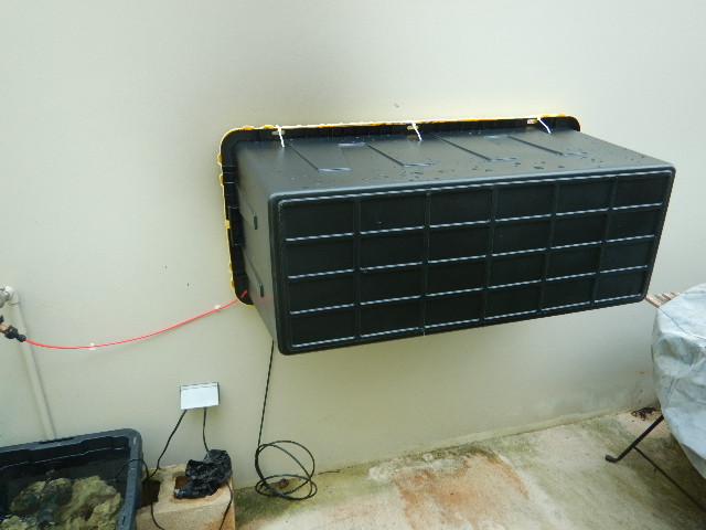 DSCN7505.JPG