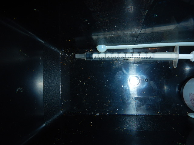 DSCN7517.JPG