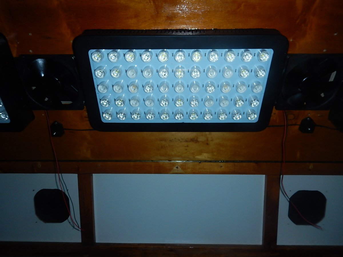 DSCN9658.JPG