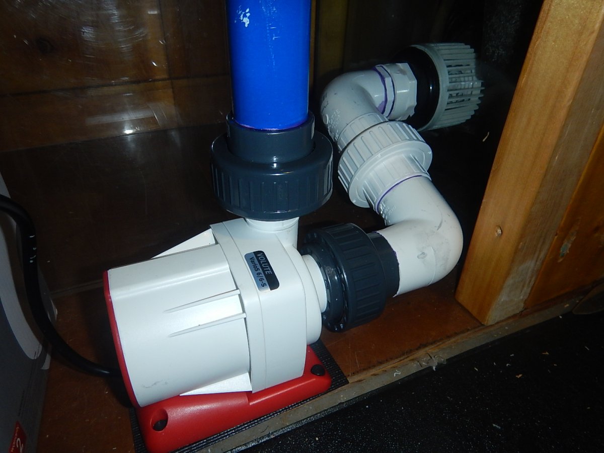 DSCN9661.JPG