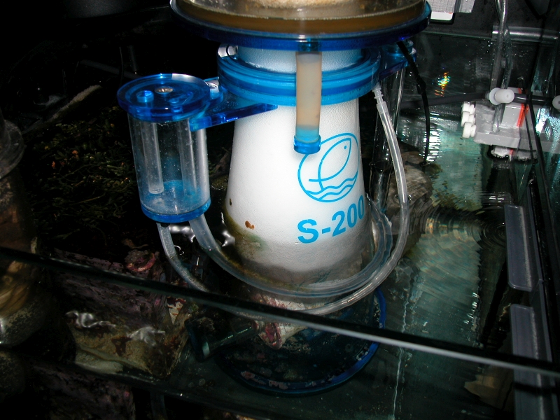DSCN9705.jpg