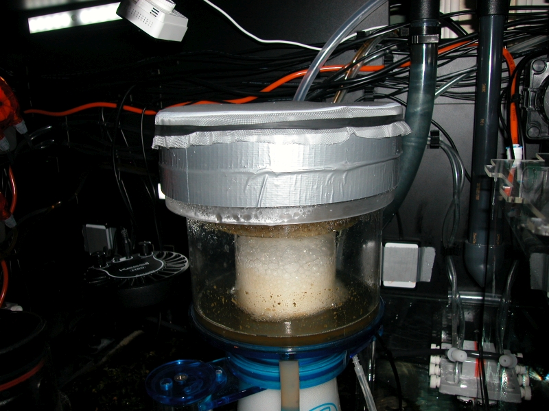 DSCN9706.jpg