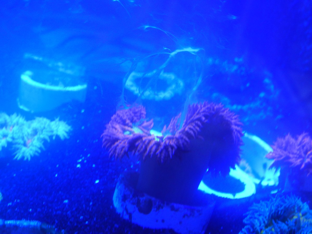 DSCN9779.JPG