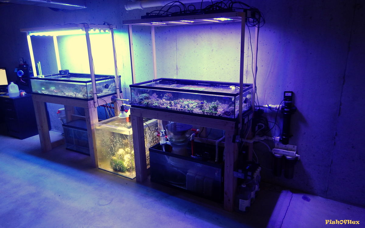 Building Six Bulb T5 Fixture With Three Retrofit Kits | Reef2Reef