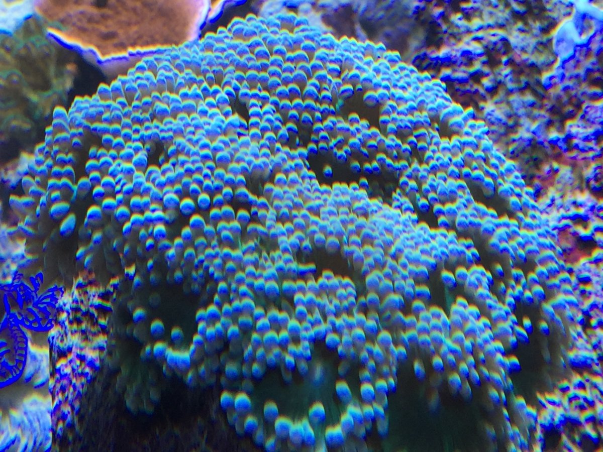 duncan 11142017.JPG