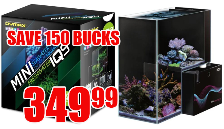 SAVE 150 BUCKS on the Dymax Aquarium | Reef2Reef