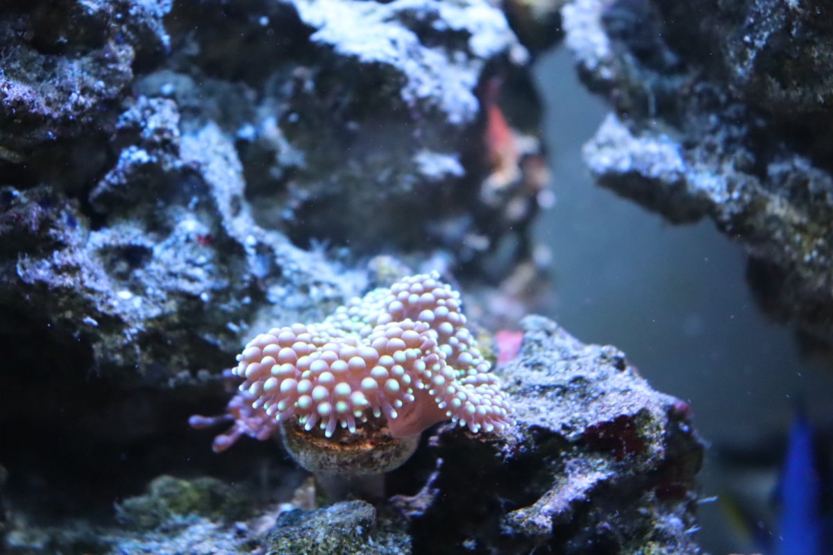 E097620F-5D3D-4E02-A15B-E2D67811C932.jpeg