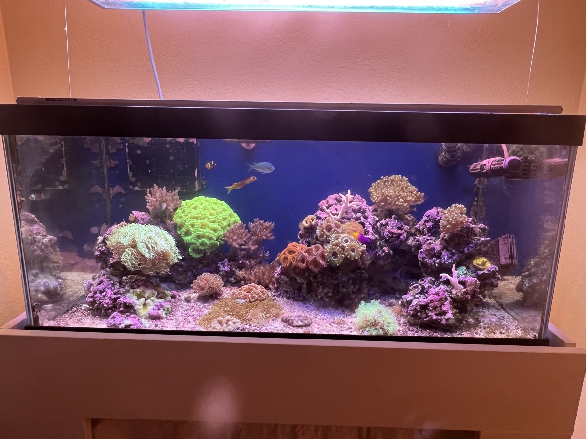 E0C88E1C-03C1-4DB6-A8D1-E91A20DCF338.jpeg