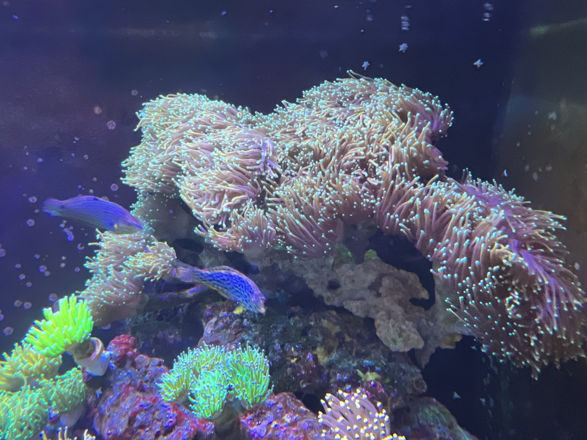 E1E22D20-79A7-4DF1-AB80-64910FD4D8A4.jpeg