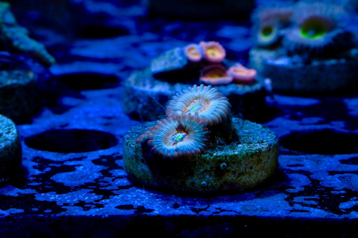E20F25A9-9070-4A1B-8A70-D97AA7F49037.jpeg