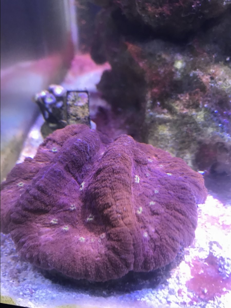 E281EBB6-1812-445E-81F6-28E932F128A2.jpeg