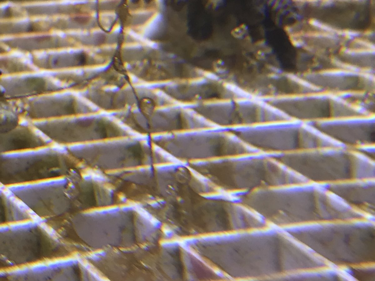 E281EEDF-B65C-438F-BB6A-E2DDBDC5C157.jpeg