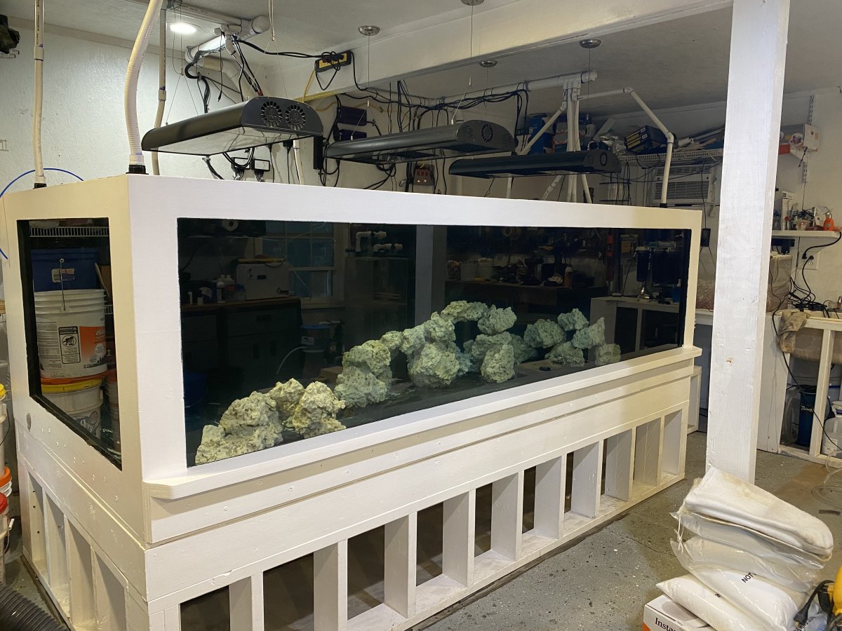 2021 Full Tank (FTS) Shots! Post those End of the Year pics!! | Page 14 ...