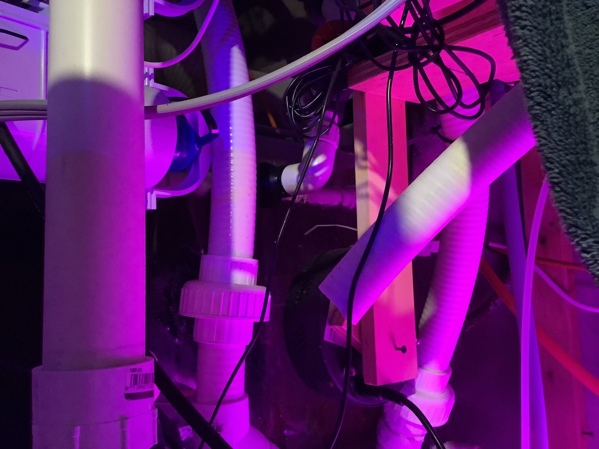 E31D6096-949D-4A3F-A535-AE98D0CD83B5.jpeg
