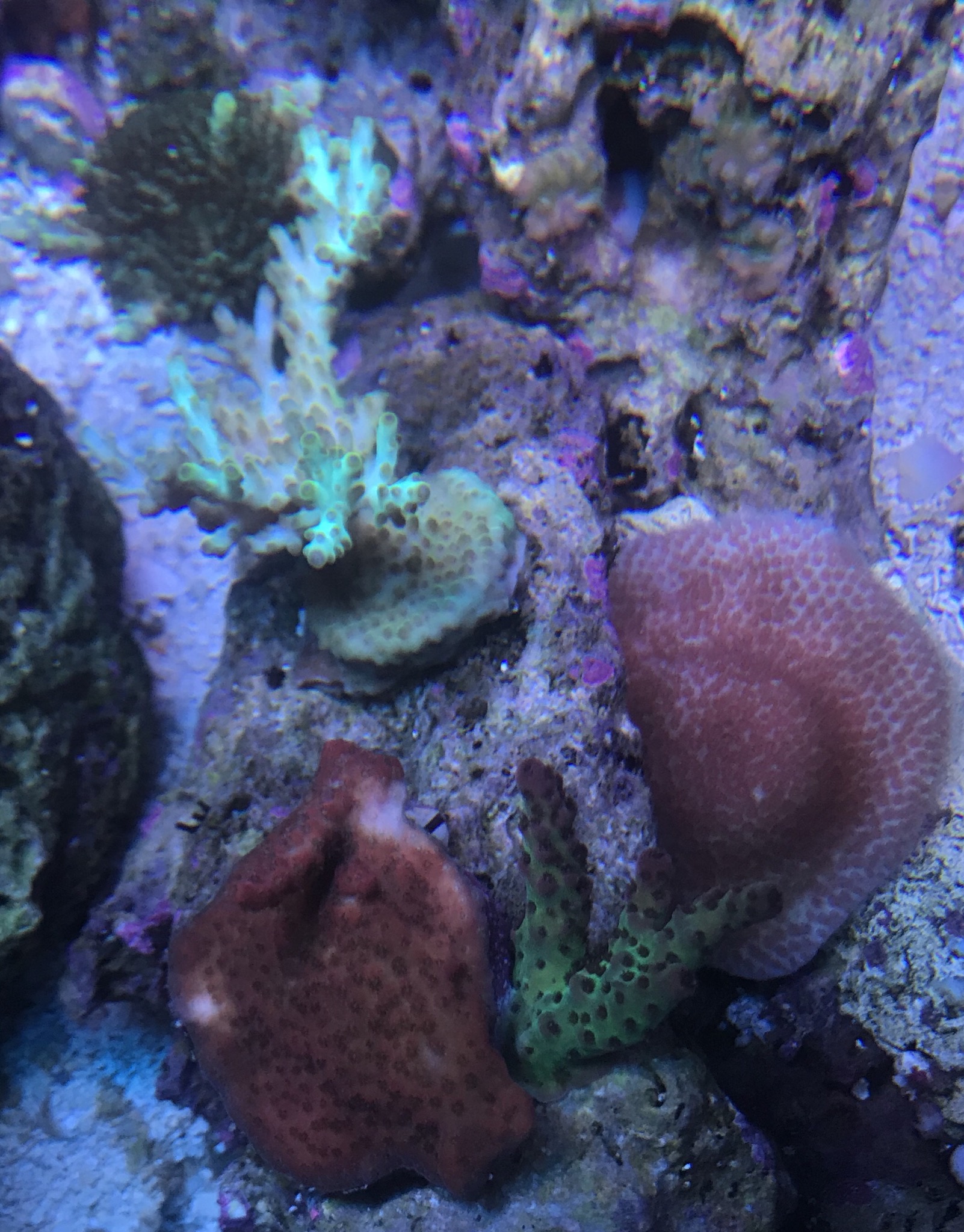 E321C024-AA08-40C8-99F4-4235230C0210.jpeg