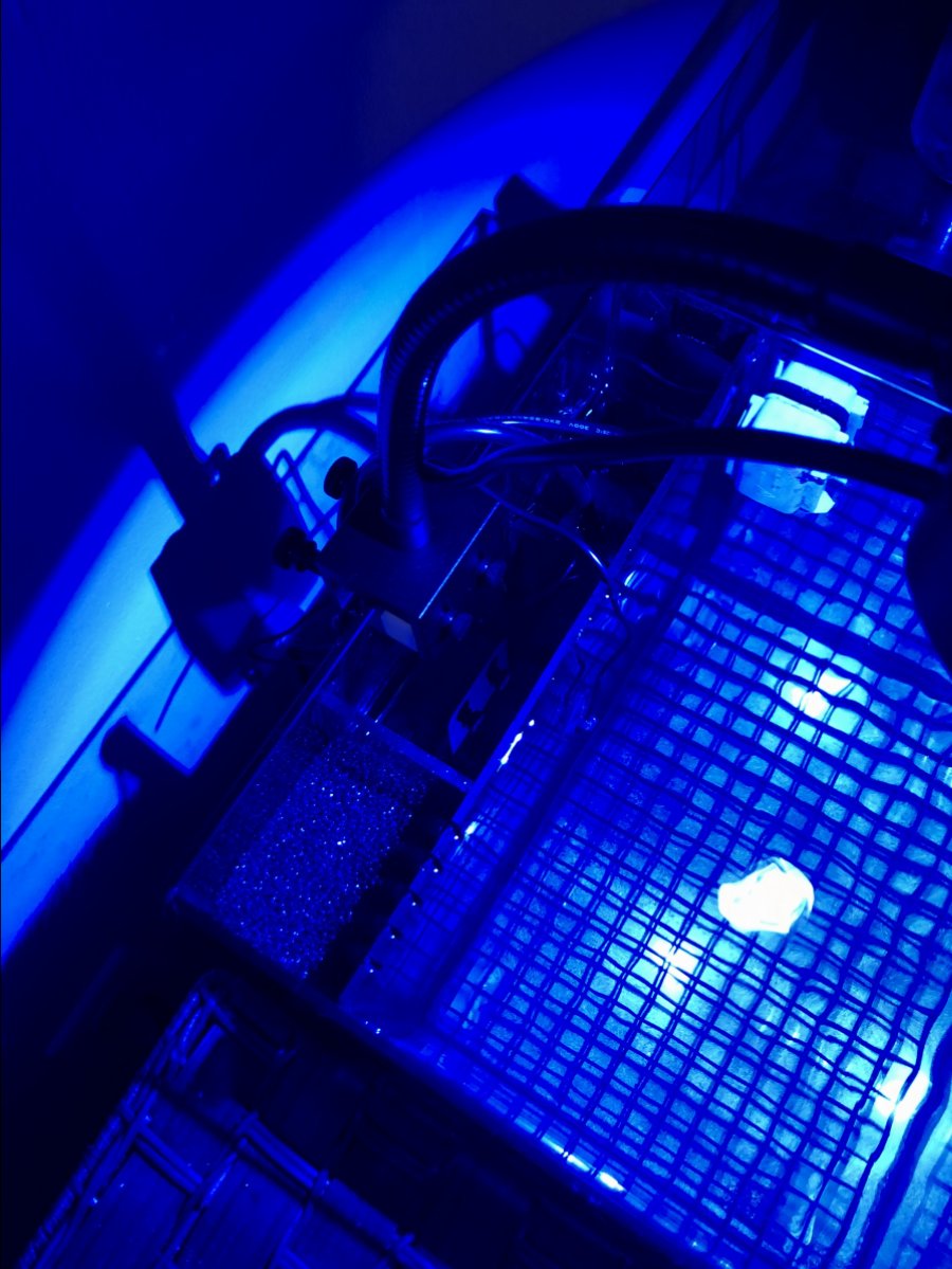 E359FBCD-030F-48A6-A3D9-CE95F1F87B75.jpeg