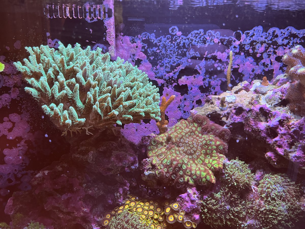E41D9F0F-88C0-44F8-9A5F-354680E9EBE2.jpeg