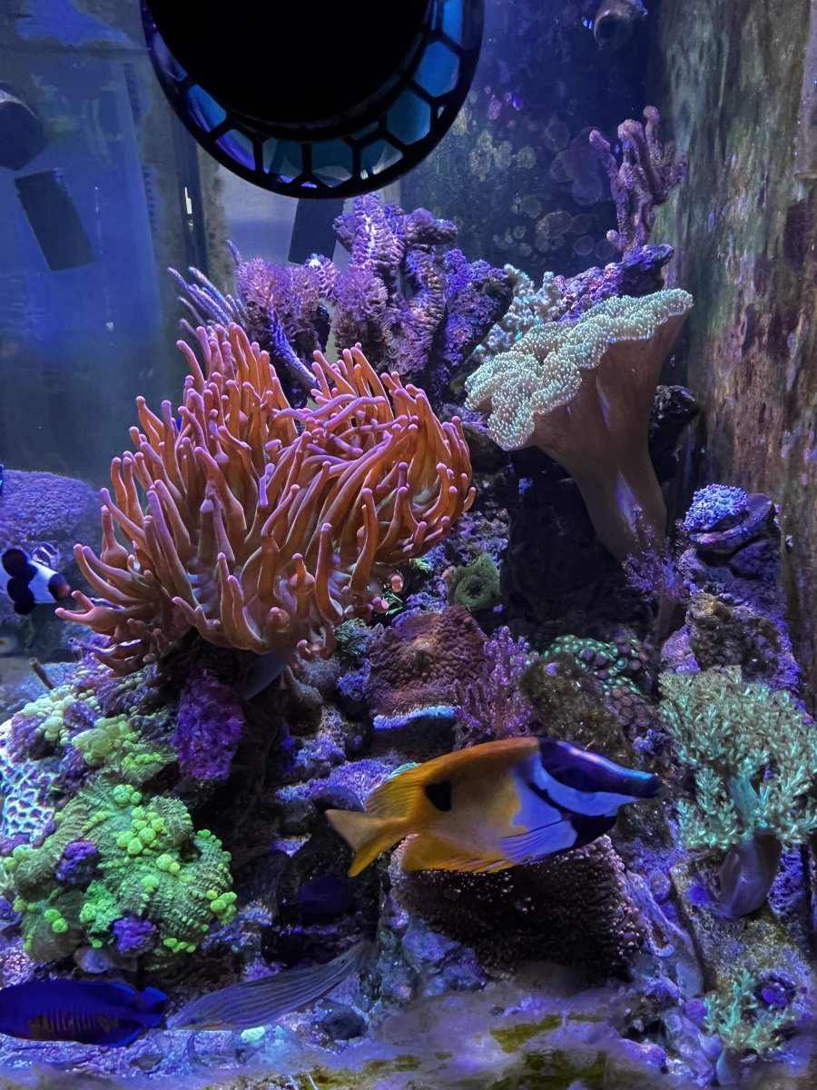E44371F9-BDB4-494A-B78C-C7D0398B36E1.jpeg