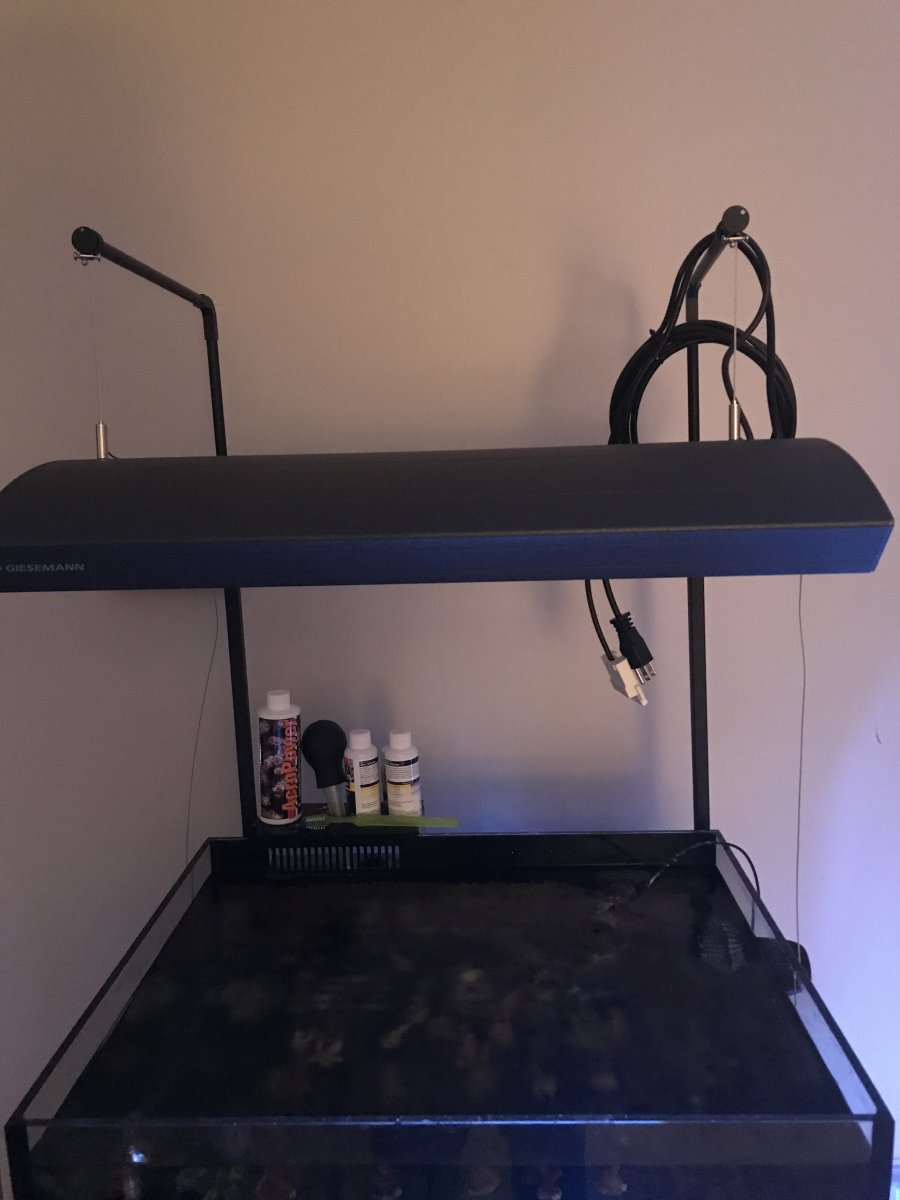 New York - Pennsylvania - Lighting - Metal Halide - For sale 6mo old ...
