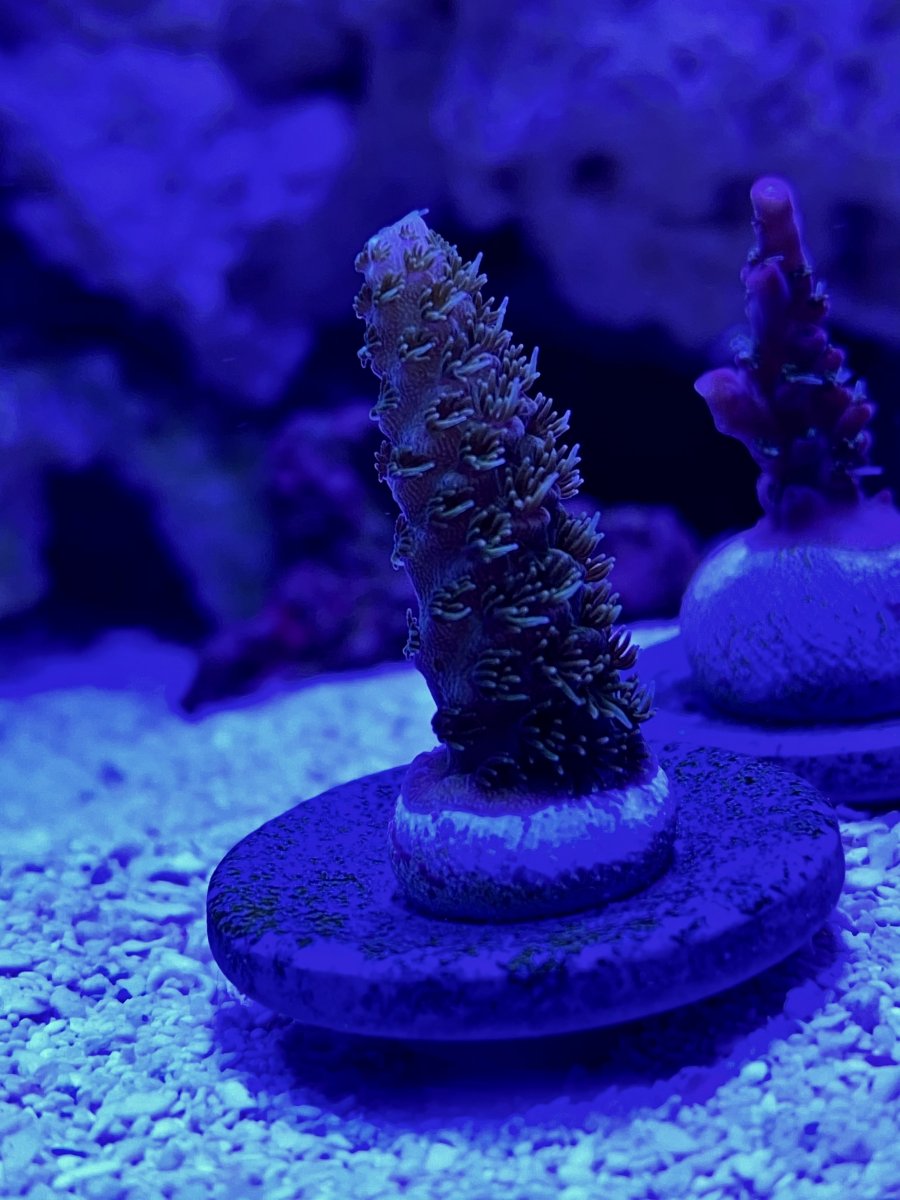 E4FFD256-A012-4E85-A46C-7782437EB4F1.jpeg