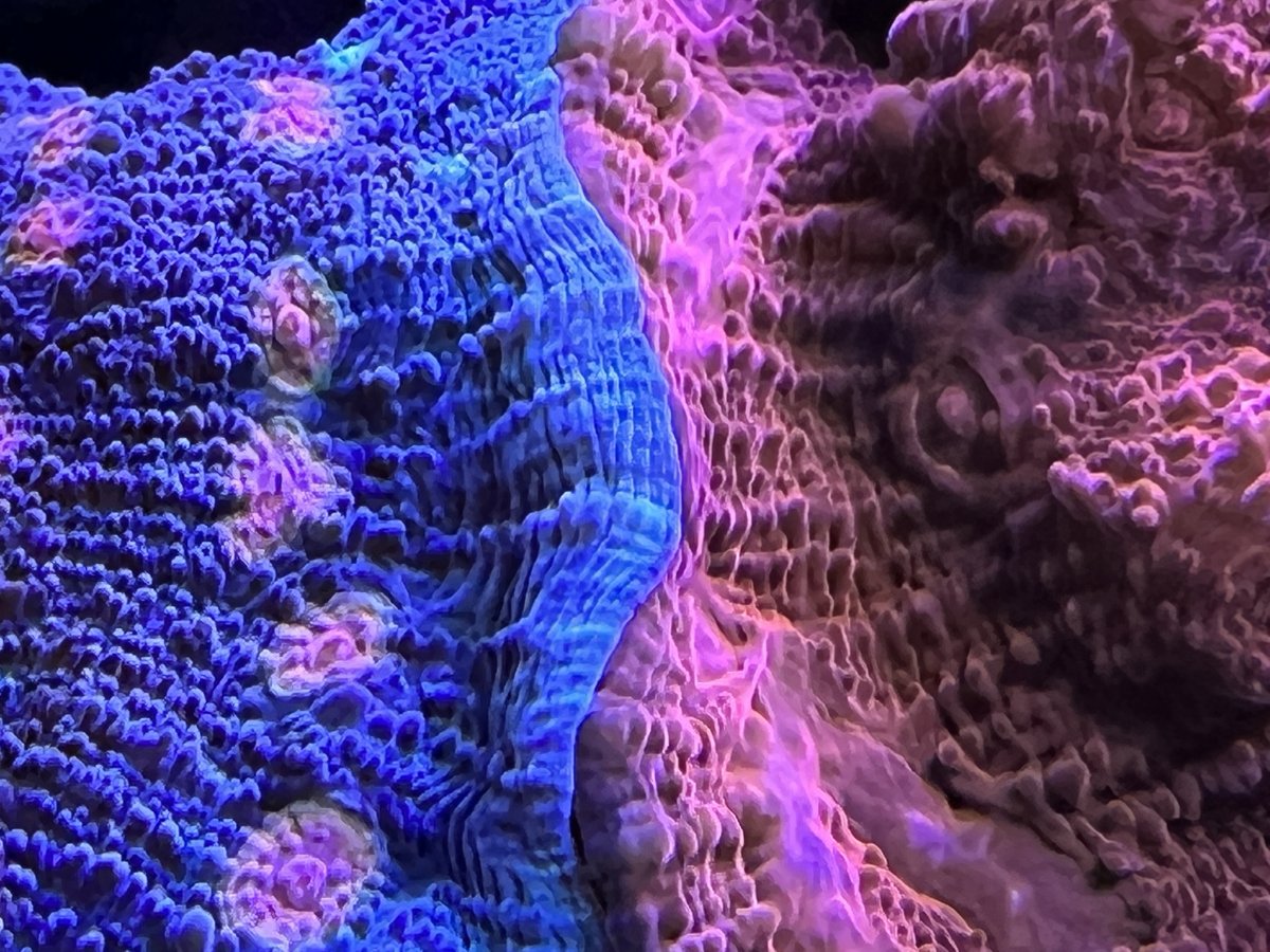 E5385194-4063-48C0-AB7E-A496A67AD55D.jpeg